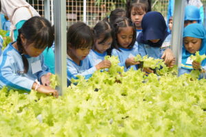 Siswa-siswi Primary Grade 2 GIS 3 Jogja mengunjungi kebun sayuran hidroponik (Dokumentasi oleh Tim Humas GIS 3 Jogja)