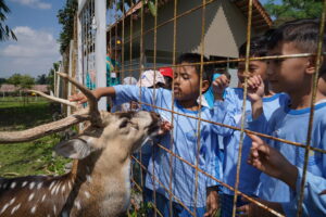 Momen saat siswa melakukan kegiatan feeding animals (Dokumentasi oleh Tim Humas GIS 3 Jogja)